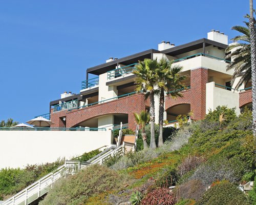 Laguna surf hotsell